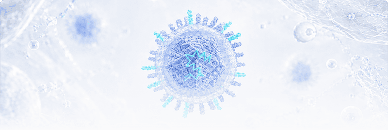 Varicella Zoster Virus (VZV)